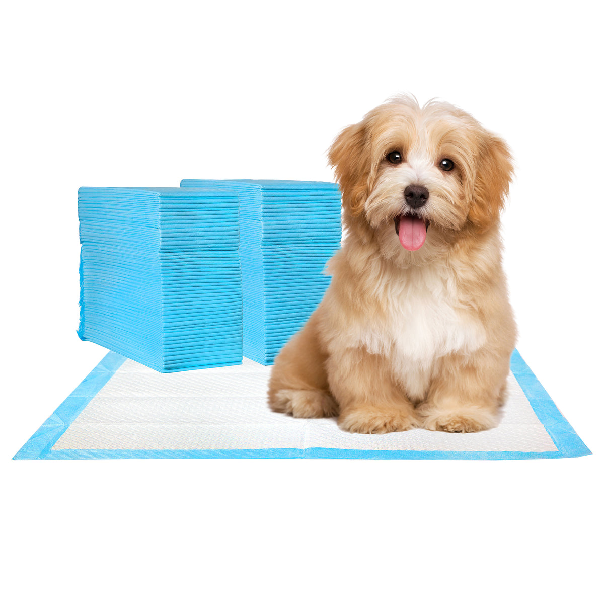 Super Absorbent Dog Training Pads, 100-Pack