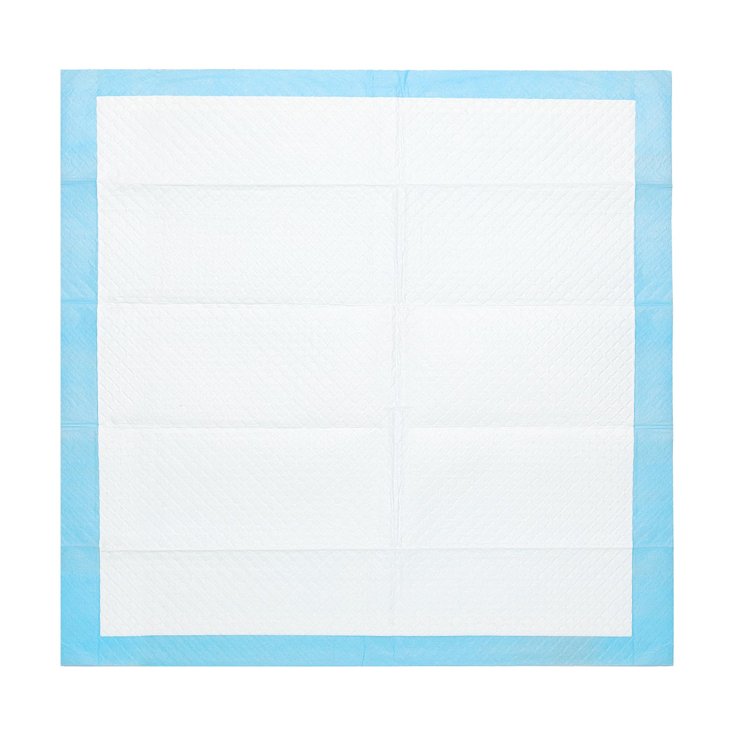 Super Absorbent Dog Training Pads, 100-Pack