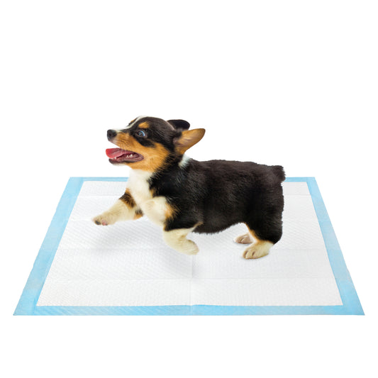 Super Absorbent Dog Training Pads, 100-Pack
