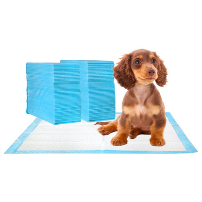 Super Absorbent Dog Training Pads, 100-Pack