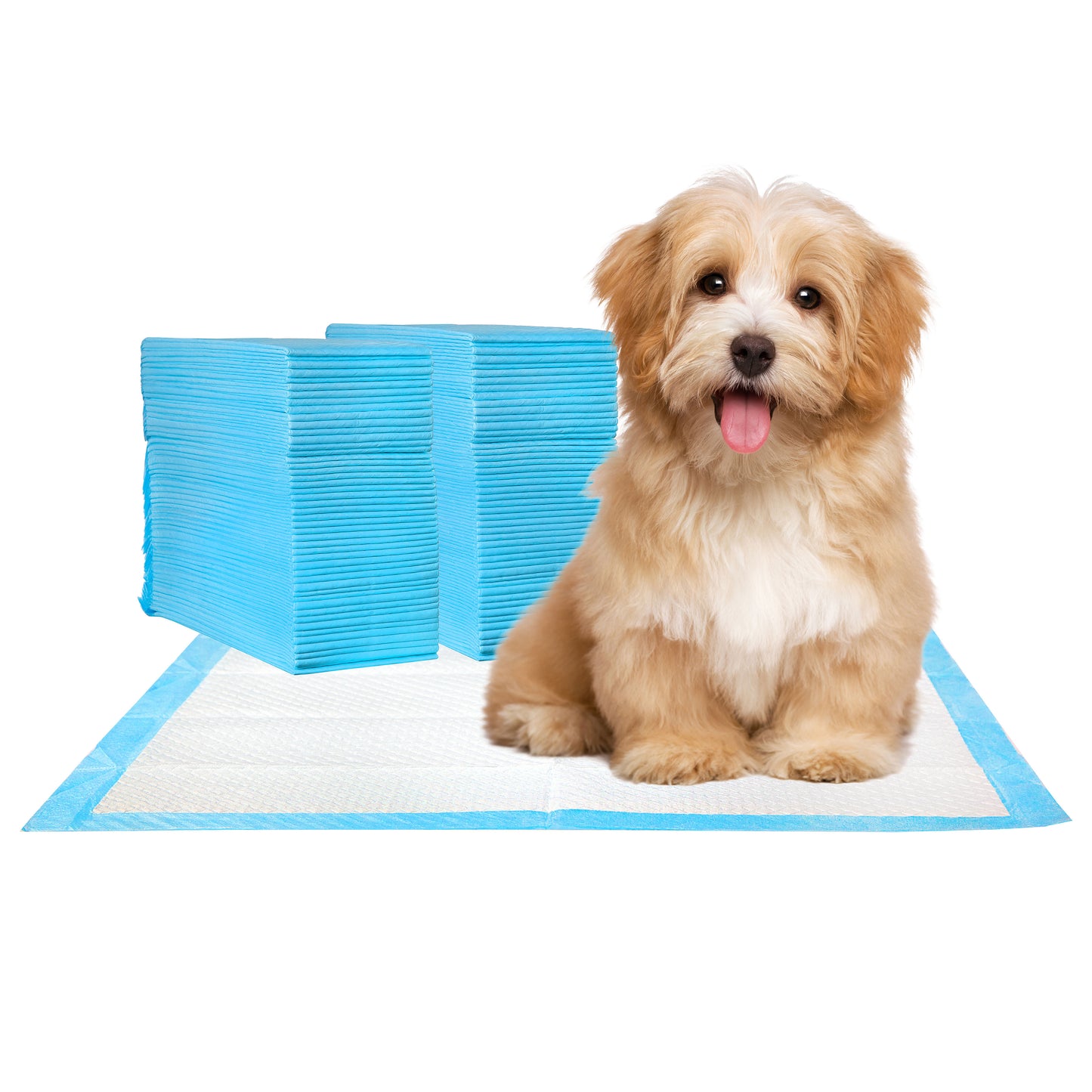 Super Absorbent Dog Training Pads, 100-Pack