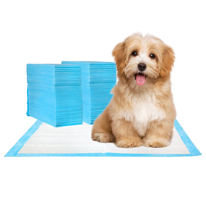 Super Absorbent Dog Training Pads, 100-Pack