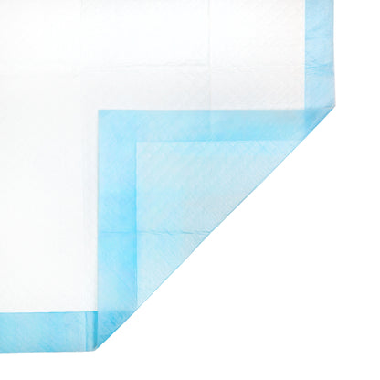 Super Absorbent Dog Training Pads, 100-Pack