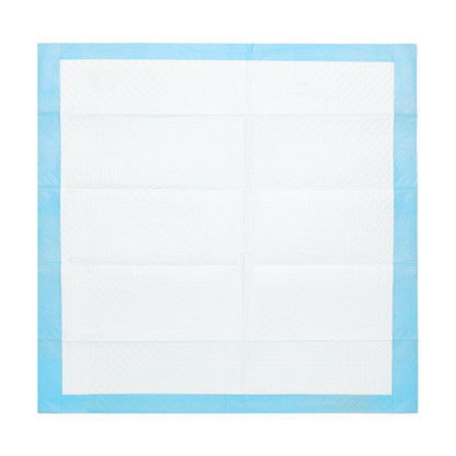 Super Absorbent Dog Training Pads, 100-Pack